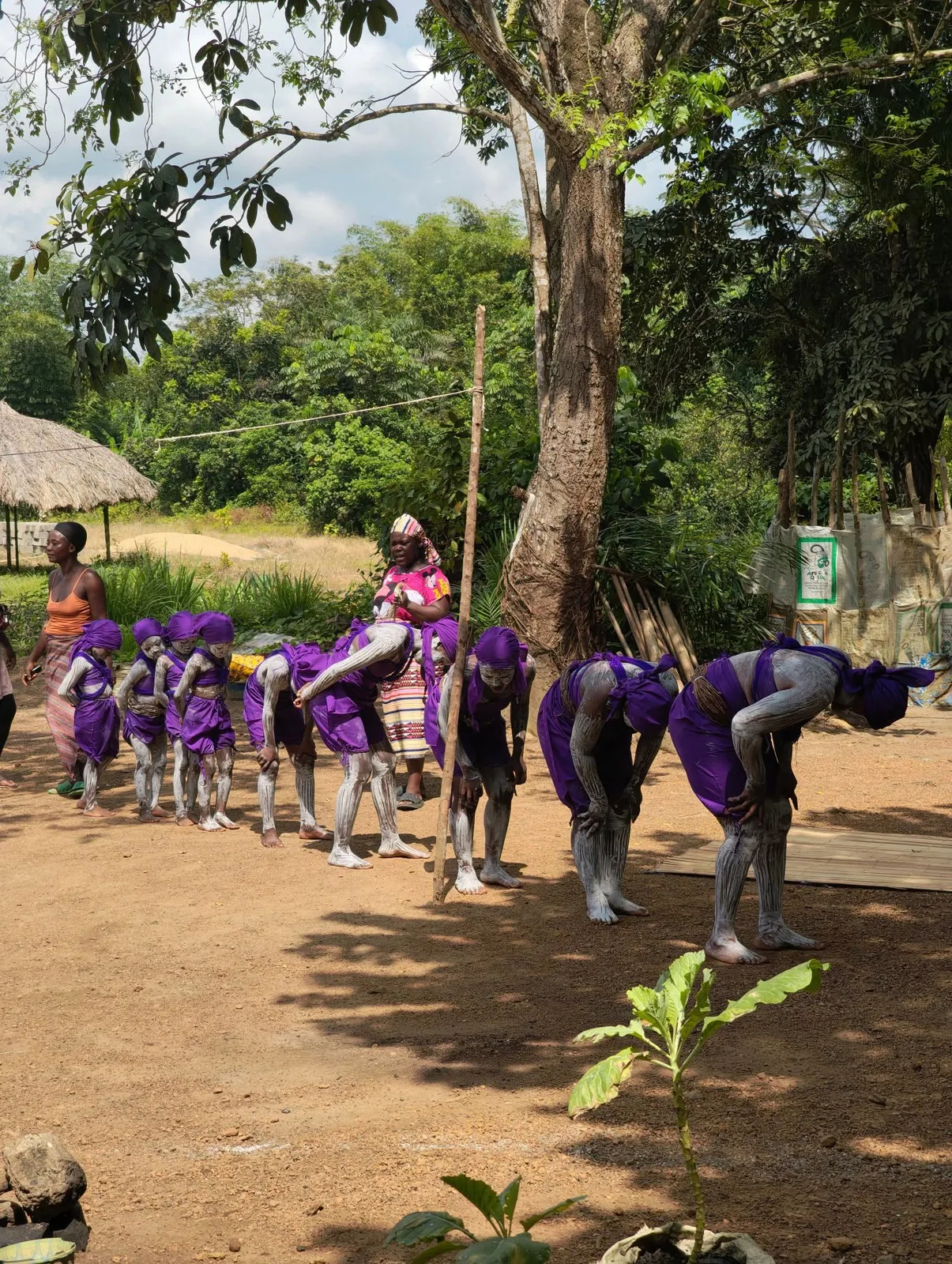 Performers in purple costumes lining up for a village dance