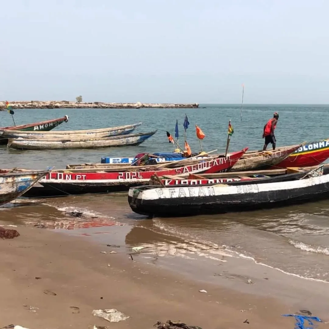Colourful wooden fishing pirogues on the Atlantic coast near Conakry